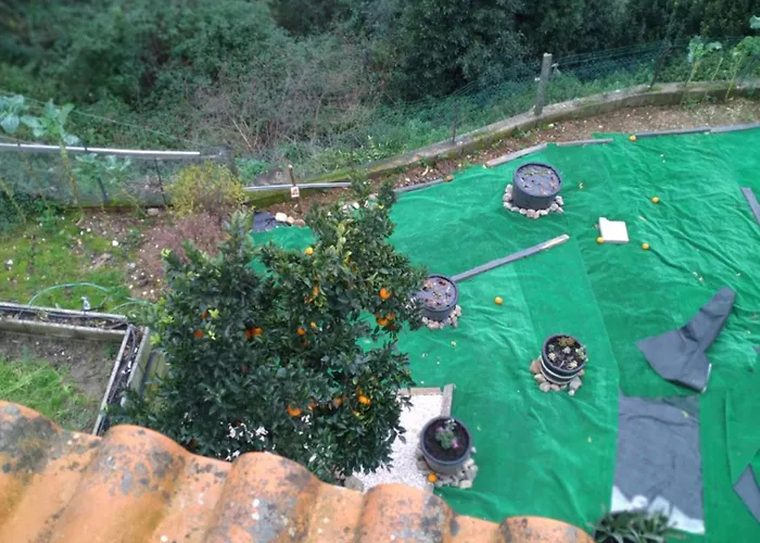 Casa vacanze Moradia Lili